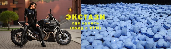 крисы Богородицк