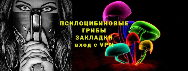 крисы Богородицк