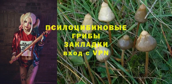 крисы Богородицк
