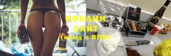 дживик Богданович