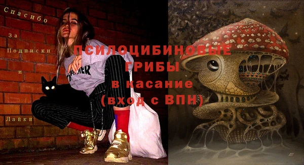 крисы Богородицк