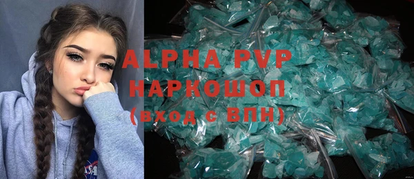 крисы Богородицк