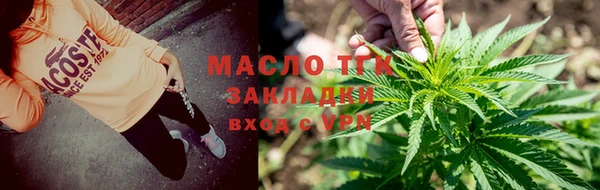 крисы Богородицк