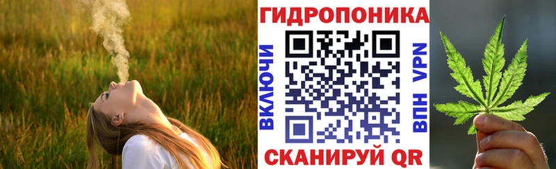 где купить наркоту  Мончегорск  Бошки Шишки сатива 